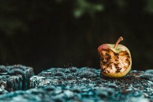 Mitä tehdä, jos luottamus taloyhtiön hallitukseen katoaa