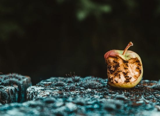 Mitä tehdä, jos luottamus taloyhtiön hallitukseen katoaa