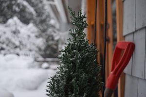 Lumityöt taloyhtiössä saattaa helposti aiheuttaa kiistoja, jos vastuunjakoa ja viestintää ei tehdä huolella. Miten pienessä asuinyhteisössä selvitään talvisista tehtävistä siten, että sopu säilyy ja kulkureitit pysyvät turvallisina?