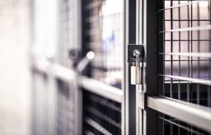 Nainen ei suostunut hyväksymään taloyhtiön päätöstä ylimääräisen kellarikomeron vuokrasopimuksen irtisanomisesta. Sinnikäs taistelu päätyi tappioon ja yli 60 000 euron kuluihin. Kellarikomero.