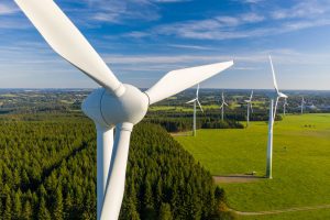 Tuulivoimahankkeiden maanvuokrasopimukset – mitä maanomistajien tulee tietää
