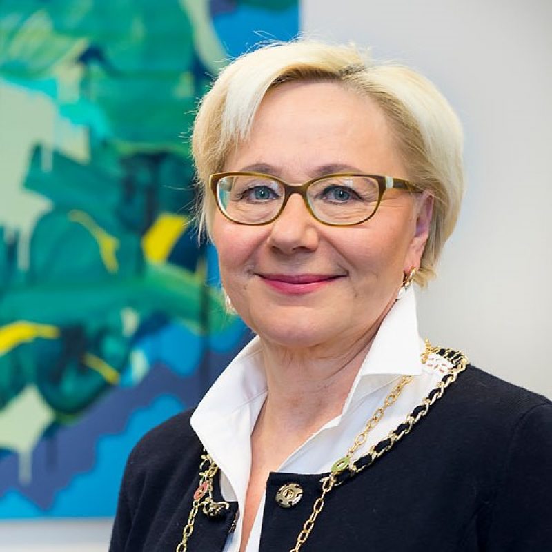 Laura Veltheim-Asikainen_kuva